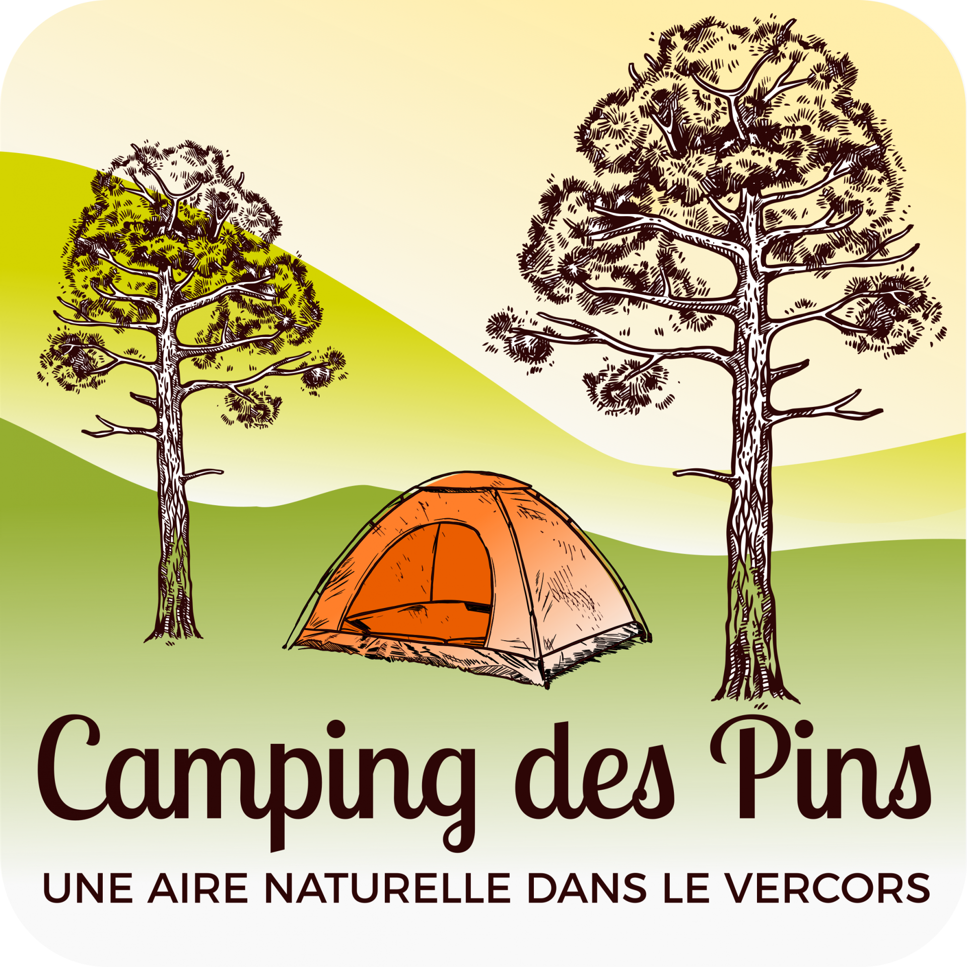 Logo camping des pins couleurs